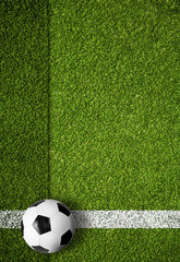 Wall Mural - soccer ball on white marking line, edge of football field