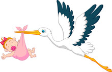 Stork With Baby Girl