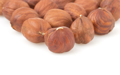 Poster - hazelnut nut on white