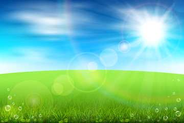 Wall Mural - summer field