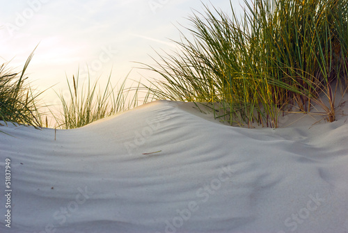 Naklejka na szybę Düne im Abendlicht