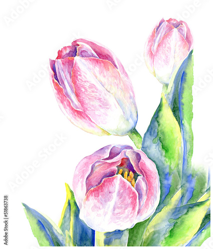 Naklejka - mata magnetyczna na lodówkę watercolor tulips