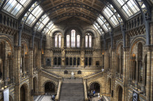 The Natural History Museum Of London