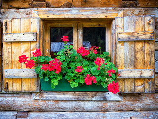 Poster - old window