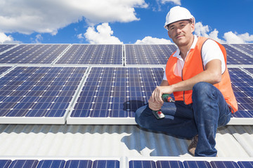 Wall Mural - Solar panels with technician