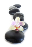 Fototapeta Storczyk - ligne de galets et orchidée