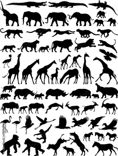 Naklejka na szybę African wild animals vector silhouette