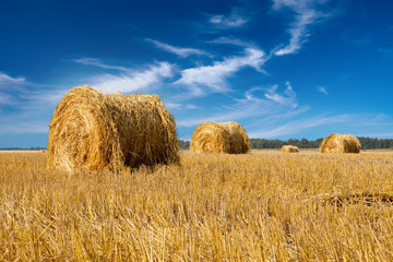Wall Mural - Stacks in the field..