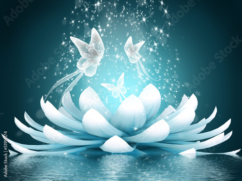 Naklejka - mata magnetyczna na lodówkę Beautiful lotus flower
