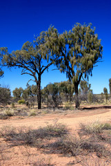 Poster - Australian Outback