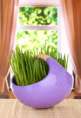 Canvas Print - Green grass in decorative pot on window background