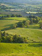 Wall Mural - Idyllic rural landscape, Cotswolds UK