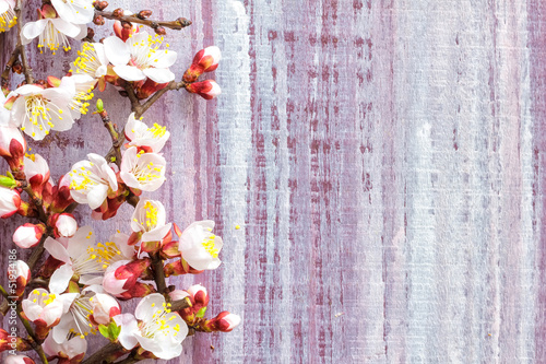 Naklejka dekoracyjna Spring blossom over wooden background