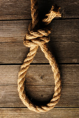 Wall Mural - Rope noose with knot