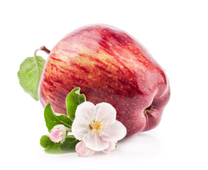 Poster - Red Apple with flowers isolated on white