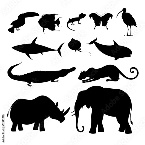 Fototapeta na wymiar different silhouettes of animals
