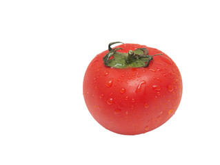 Canvas Print - red tomato with water drops