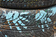 blue palms tire