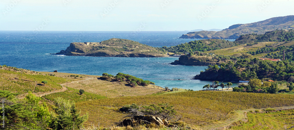 Panorama over the Vermilion coast and its vineyards, Mediterranean, Languedoc Roussillon, Pyrenees Orientales, Paulilles, France - obrazy, fototapety, plakaty 