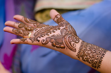 Henna design , saree , bride , traditional hindu wedding , Rajasthan, royal India	