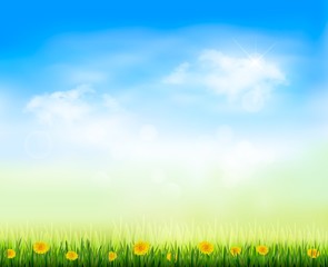 Aufkleber - Summer gaze background with blue sky and a field of dandelions.