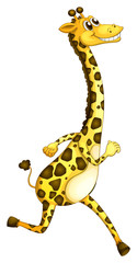 Poster - A giraffe running