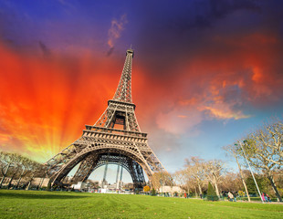 Fototapete - Paris, France. Wonderful view of Tour Eiffel with gardens and co