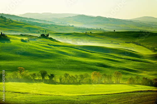 Naklejka dekoracyjna Countryside, San Quirico´Orcia , Tuscany, Italy