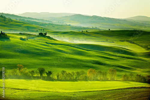 Naklejka na drzwi Countryside, San Quirico´Orcia , Tuscany, Italy