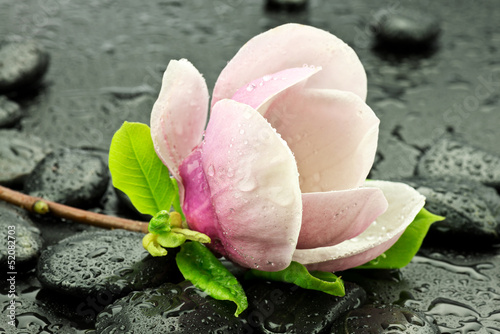 Naklejka - mata magnetyczna na lodówkę Magnolia z kamieniami do spa