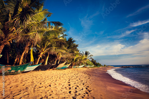 Fotomural Boats on a Tropical Beach, Mirissa, Sri Lanka