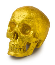 Human Skull Painted Gold Or Covered In Gold Leaf