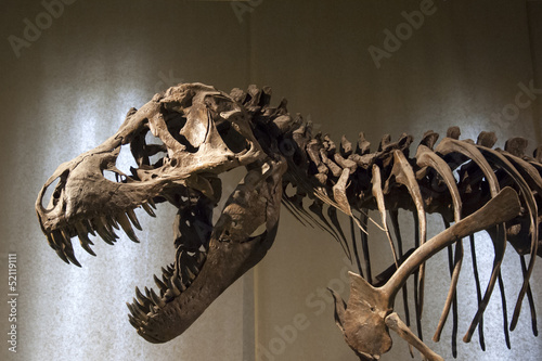 Naklejka na drzwi Tyrannosaurus Rex skeleton