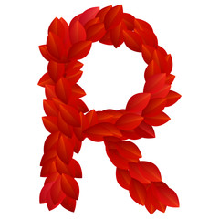 letter r of red petals alphabet