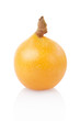 Loquat isolated on white, clipping path included