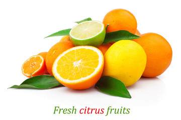 Wall Mural - Set of fresh citrus fruits with green leaves