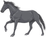 Fototapeta Konie - Isolated black galloping horse illustration