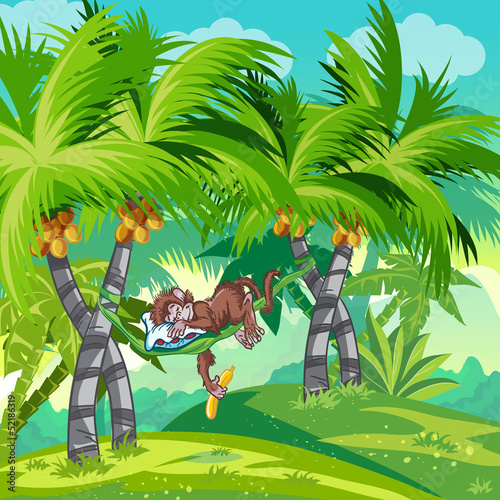 Obraz w ramie Children's illustration of the jungle with a sleeping monkey.