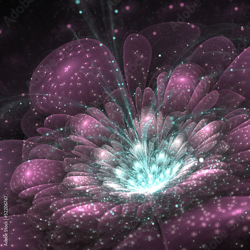 fioletowy-fraktal-kwiat
