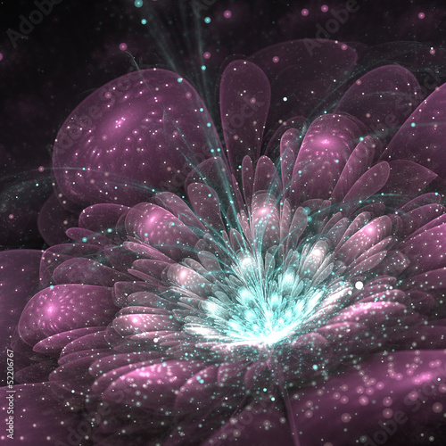 Obraz w ramie purple fractal flower