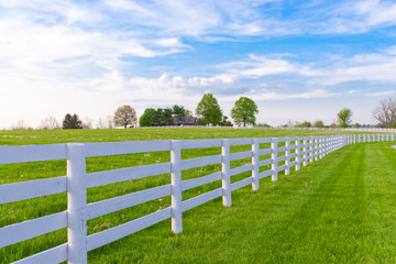 Wall Mural - Spring evening at country.