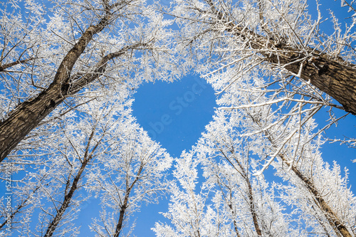 Naklejka dekoracyjna Winter landscape,branches form a heart-shaped pattern