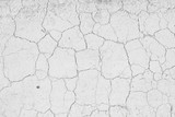 160_f_52223550_rim0d4sifoqni1iilaf24dxlvgelhl4o