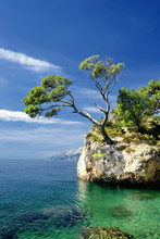 Famous Beautiful Rock With Pine Trees In Brela In Croatia