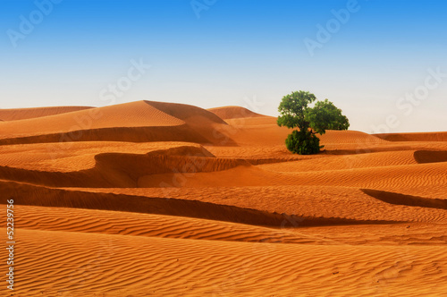 Foto-Fußmatte - Desert of North Africa, sandy barkhans (von seqoya)