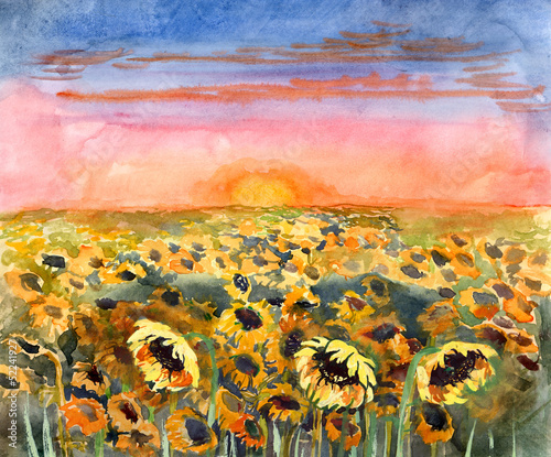 Naklejka ścienna sunflowers field