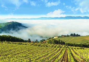 Wall Mural - Tuscany countryside