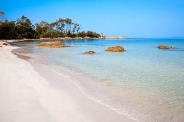 Wall Mural - Paysage de Corse, plage à Ajaccio