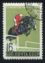 Poster - Steeplechase