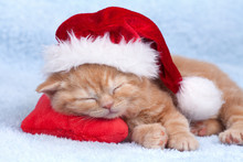 Little Cat Wearing Santa's Hat Sleeping On The Pillow